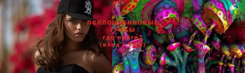 Псилоцибиновые грибы Magic Shrooms  где продают   Кувандык 